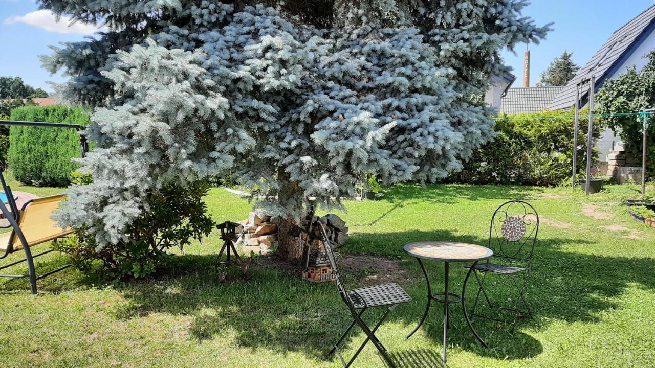 Ferienwohnung Koenig Niedergurig Bei Bautzen Malschwitz Εξωτερικό φωτογραφία